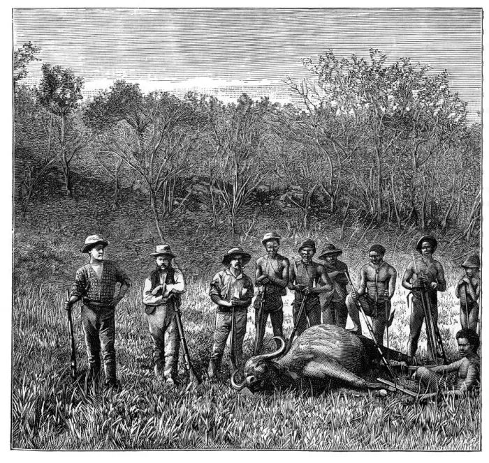 Framed Print : Buffalo hunters in the Transvaal, South Africa, c1890 Framed Print : Buffalo hunters in the Transvaal, South Africa, c1890