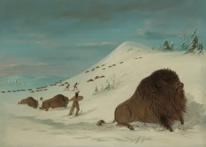 Framed Print : Buffalo Lancing in the Snow Drifts - Sioux, 1861 / 1869. Creator: George Catlin Framed Print : Buffalo Lancing in the Snow Drifts - Sioux, 1861 / 1869. Creator: George Catlin
