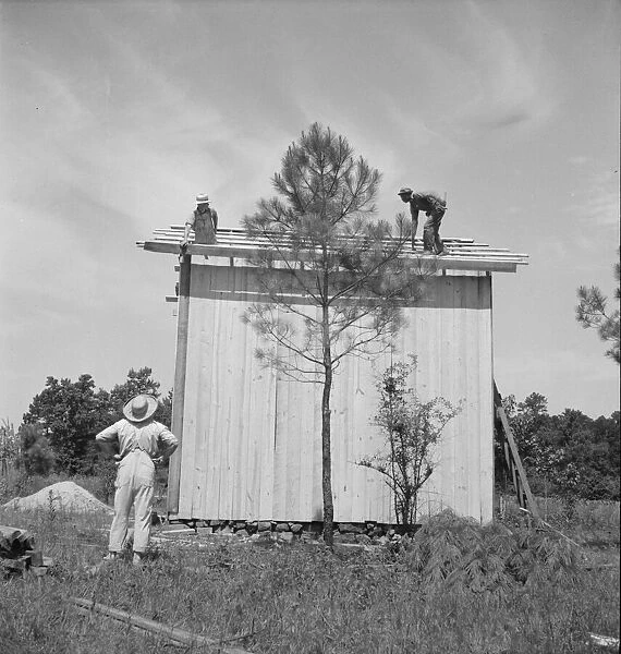 Building plank tobacco barn to replace old log one, near Chapel Hill, North Carolina, 1939 Creator: Dorothea Lange