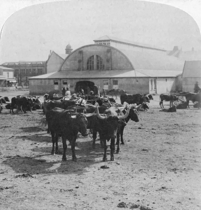 Framed Print : Building in which prisoners of war were tried, Pretoria, South Africa, Boer War, 1901. Artist: Underwood & Underwood Framed Print : Building in which prisoners of war were tried, Pretoria, South Africa, Boer War, 1901. Artist: Underwood & Underwood