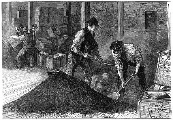Bulking tea at a tea warehouse, 1874