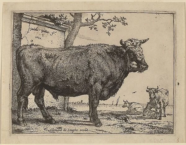 Bull, 1650. Creator: Paulus Potter