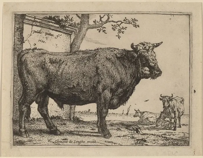 Framed Print : Bull, 1650. Creator: Paulus Potter Framed Print : Bull, 1650. Creator: Paulus Potter