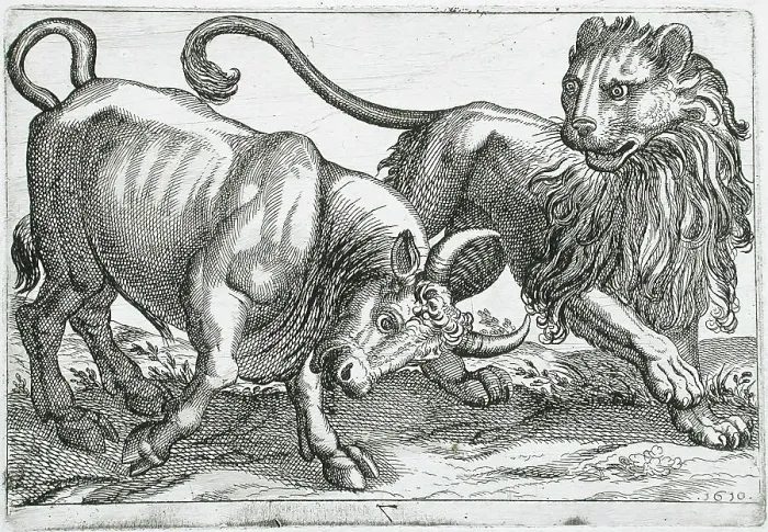 Framed Print : A Bull Attacking a Lion, 1610. Creator: Hendrick Hondius I Framed Print : A Bull Attacking a Lion, 1610. Creator: Hendrick Hondius I