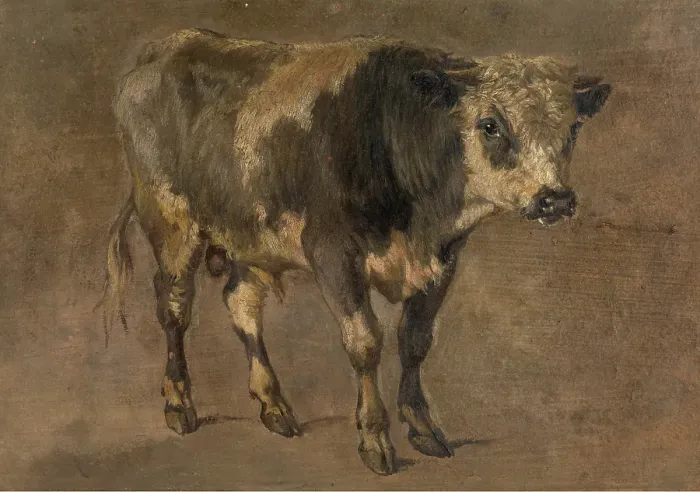 Framed Print : Bull, c1870s. Creator: Andre Plumot Framed Print : Bull, c1870s. Creator: Andre Plumot