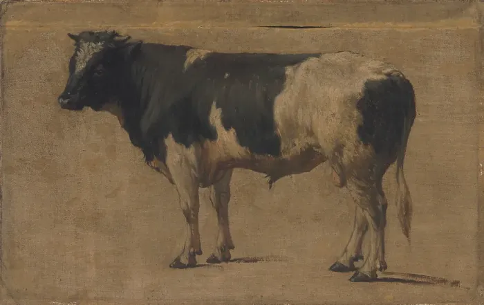 Framed Print : Bull, c1870s. Creator: Andre Plumot Framed Print : Bull, c1870s. Creator: Andre Plumot