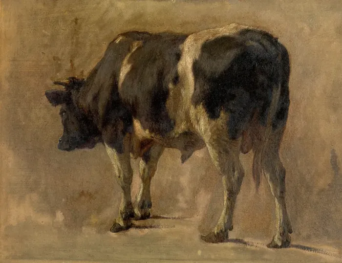 Framed Print : Bull, c1870s. Creator: Andre Plumot Framed Print : Bull, c1870s. Creator: Andre Plumot