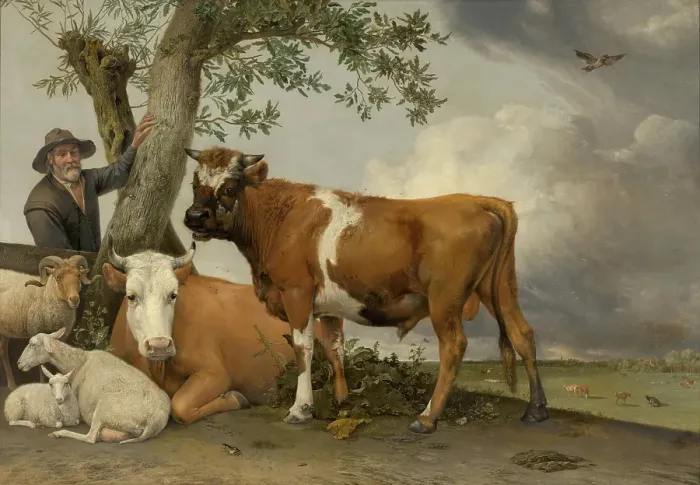 Framed Print : The Bull. Creator: Paulus Potter Framed Print : The Bull. Creator: Paulus Potter