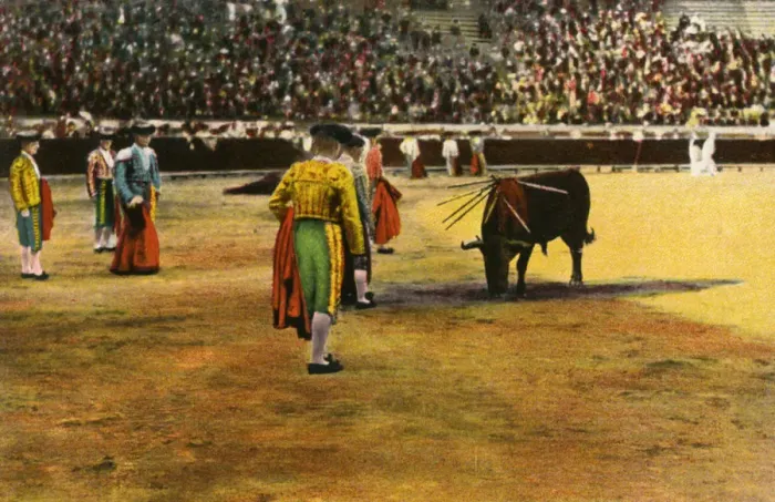 Framed Print : Bull fight, 20th century Framed Print : Bull fight, 20th century