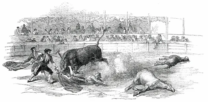 Framed Print : Bull-Fight at Madrid - Accident to Montes, the Matador, 1850. Creator: Unknown Framed Print : Bull-Fight at Madrid - Accident to Montes, the Matador, 1850. Creator: Unknown