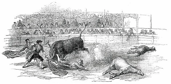 Bull-Fight at Madrid - Accident to Montes, the Matador, 1850. Creator: Unknown