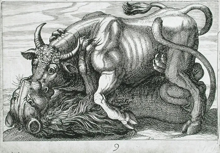 Framed Print : A Bull Fighting a Lion, 1610. Creator: Hendrick Hondius I