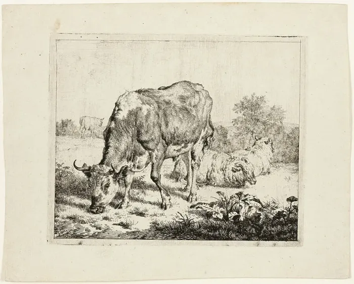 Framed Print : Bull Grazing and Three Sheep, 1670. Creator: Adriaen van de Velde Framed Print : Bull Grazing and Three Sheep, 1670. Creator: Adriaen van de Velde