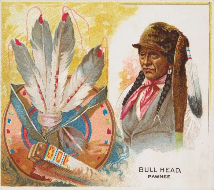 Framed Print : Bull Head, Pawnee, from the American Indian Chiefs series (N36) for Allen & Framed Print : Bull Head, Pawnee, from the American Indian Chiefs series (N36) for Allen &