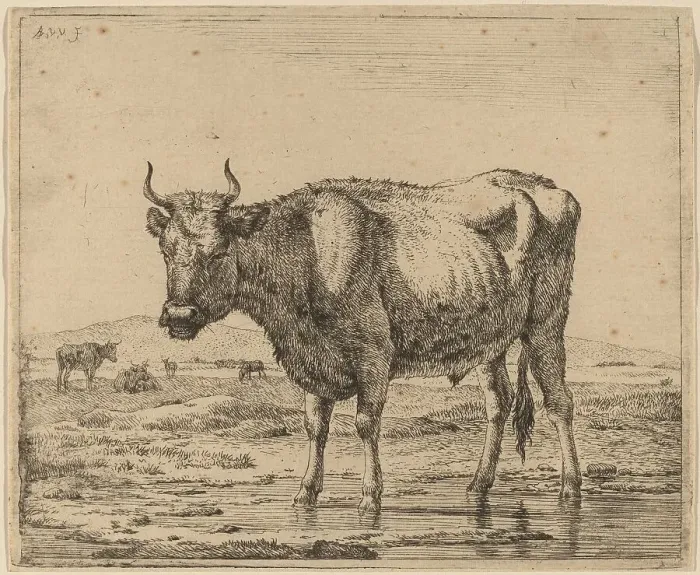 Framed Print : Bull Standing in Water, c. 1657 / 1659. Creator: Adriaen van de Velde Framed Print : Bull Standing in Water, c. 1657 / 1659. Creator: Adriaen van de Velde