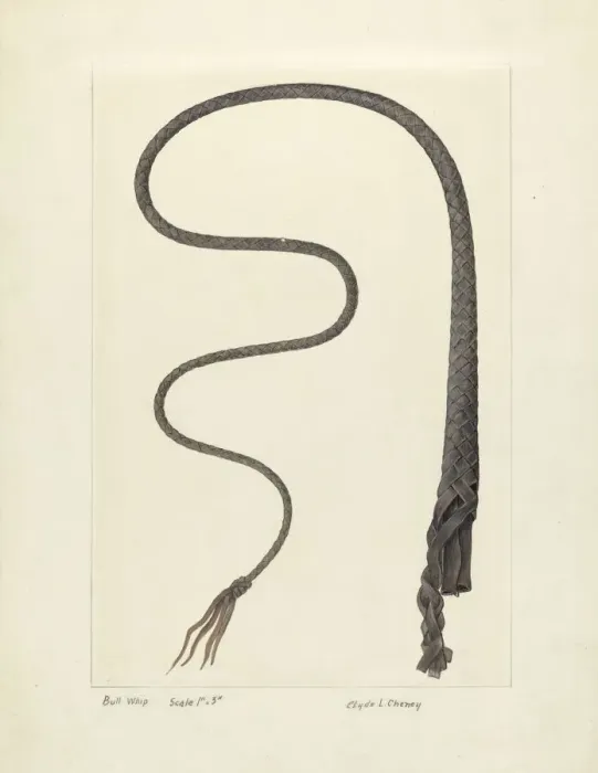 Framed Print : Bull Whip, c. 1937. Creator: Clyde L. Cheney Framed Print : Bull Whip, c. 1937. Creator: Clyde L. Cheney