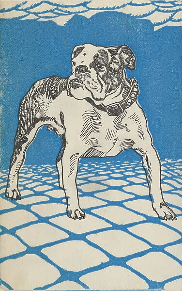 Bulldog, 1912. Creator: Moritz Jung