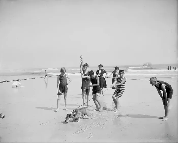 Framed Print : Bulldog on the beach, between 1900 and 1910. Creator: Unknown