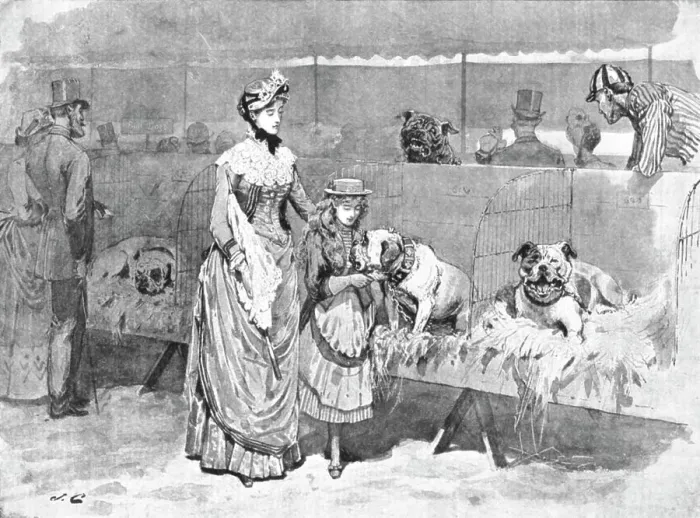 Framed Print : Among the Bulldogs at the Kennel Club Show, 1886. Creator: Unknown Framed Print : Among the Bulldogs at the Kennel Club Show, 1886. Creator: Unknown
