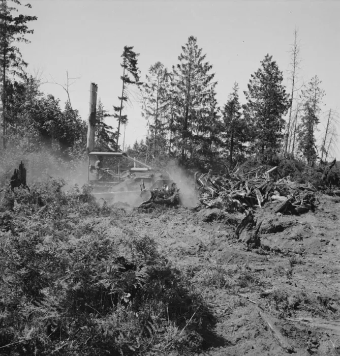 Framed Print : Bulldozer clearing and pushing stumps... near Vader, Lewis County, Western Washington, 1939. Creator: Dorothea Lange