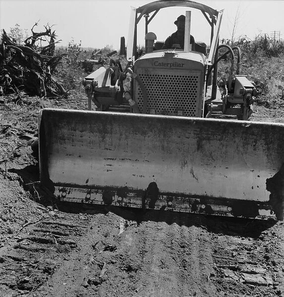 Bulldozer equipped with grader... Nieman farm, near Vader, Lewis County, Western Washington, 1939. Creator: Dorothea Lange