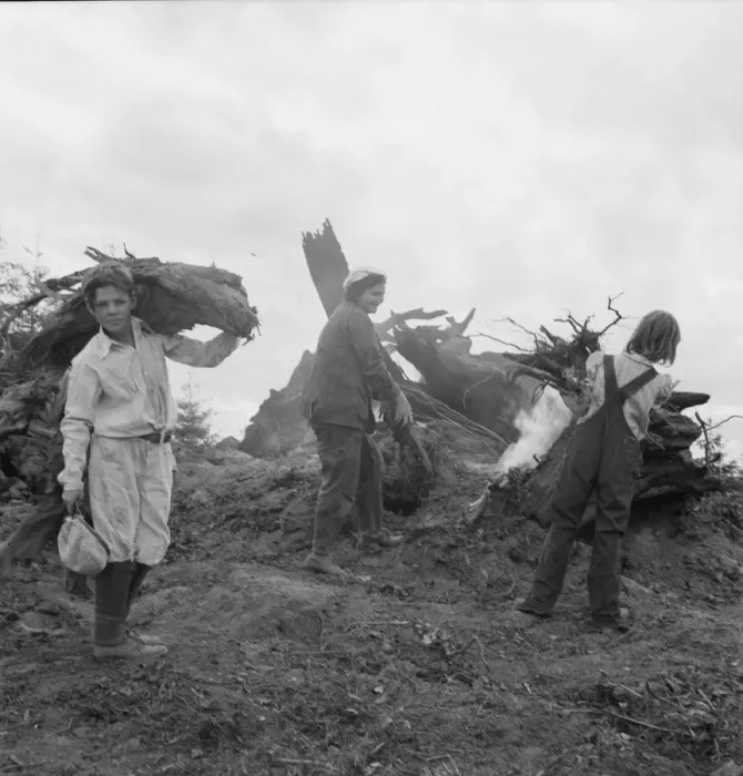 Framed Print : After the bulldozer has taken out and piled the heavy stumps... Michigan Hill, Washington, 1939. Creator: Dorothea Lange