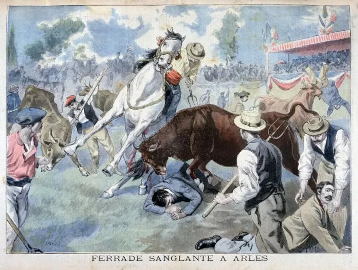 Framed Print : Bullfight incident, Arles, France, 1898. Artist: F Meaulle Framed Print : Bullfight incident, Arles, France, 1898. Artist: F Meaulle