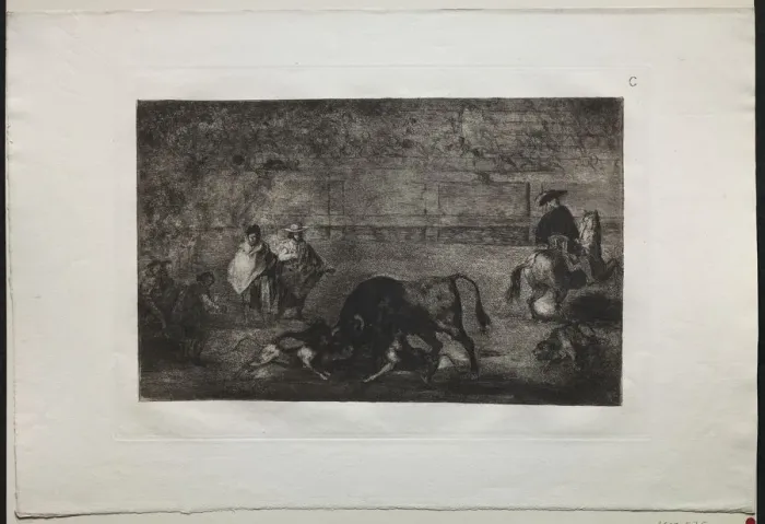 Framed Print : Bullfights: The Dog Let Loose on the Bull, 1876. Creator: Francisco de Goya (Spanish, 1746-1828) Framed Print : Bullfights: The Dog Let Loose on the Bull, 1876. Creator: Francisco de Goya (Spanish, 1746-1828)