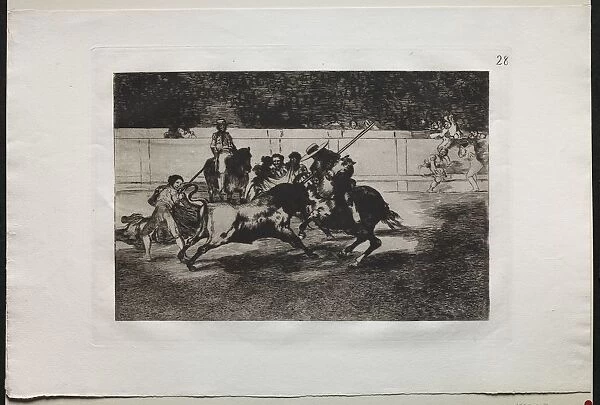 Bullfights: The Forceful Rendon Stabs a Bull with the Pique, From Which Pass he died