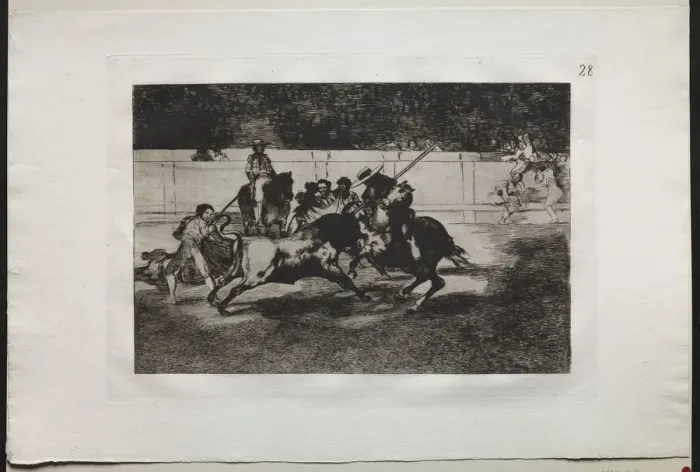 Framed Print : Bullfights: The Forceful Rendon Stabs a Bull with the Pique, From Which Pass he died Framed Print : Bullfights: The Forceful Rendon Stabs a Bull with the Pique, From Which Pass he died
