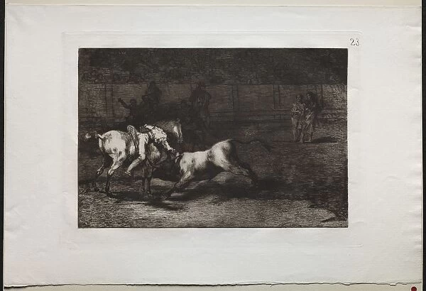 Bullfights: Mariano Ceballos, Alias the Indian, Kills the Bull From his Horse, 1876