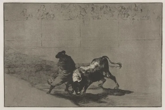 Framed Print : Bullfights: The Very Skilful Student of Falces, Wrapped in his Cape, Tricks the Bull Framed Print : Bullfights: The Very Skilful Student of Falces, Wrapped in his Cape, Tricks the Bull