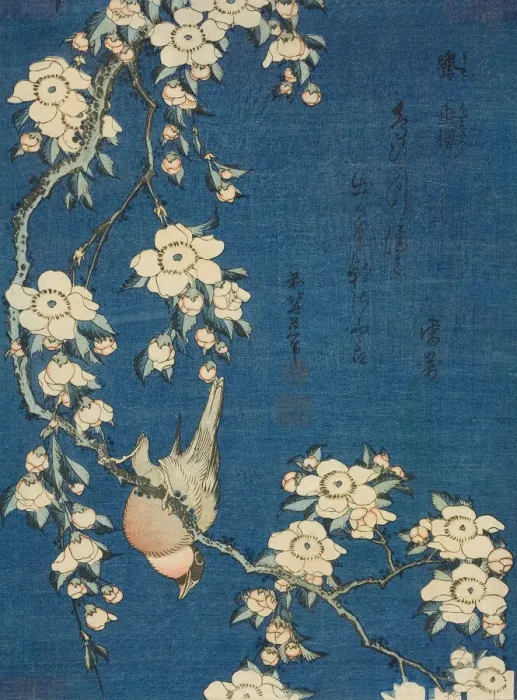 Framed Print : Bullfinch and Weeping Cherry (Uso, shidarezakura), from an untitled series of flowers Framed Print : Bullfinch and Weeping Cherry (Uso, shidarezakura), from an untitled series of flowers