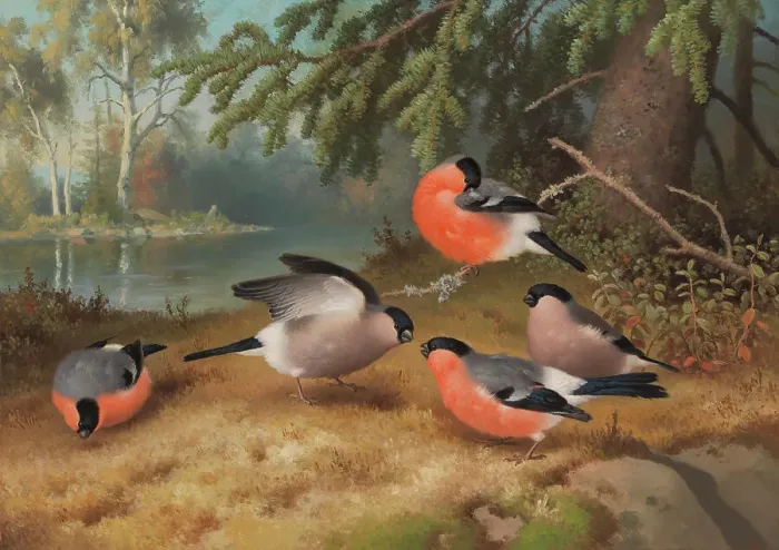 Framed Print : Bullfinches, 1887. Creator: Ferdinand von Wright Framed Print : Bullfinches, 1887. Creator: Ferdinand von Wright