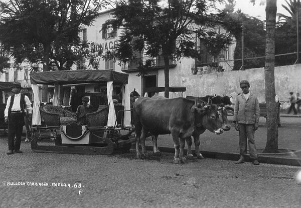 Bullock carriage, Madeira, Portugal, c1920s-c1930s(?)