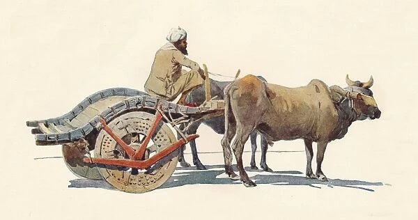 A Bullock Cart, Jodhpur, c1880 (1905). Artist: Alexander Henry Hallam Murray