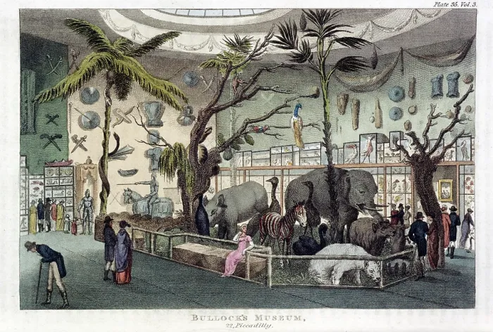 Framed Print : Bullock's Museum, 22, Piccadilly, London, 1809-1829. Creator: Unknown. Bullock's Museum, 22, Piccadilly, London, 1809-1829. Creator: Unknown Framed Print : Bullock's Museum, 22, Piccadilly, London, 1809-1829. Creator: Unknown. Bullock's Museum, 22, Piccadilly, London, 1809-1829. Creator: Unknown