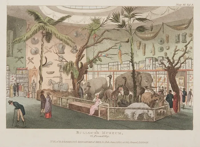 Framed Print : Bullock's Museum, 22 Piccadilly, c1815. Creator: Unknown. Bullock's Museum, 22 Piccadilly, c1815. Creator: Unknown Framed Print : Bullock's Museum, 22 Piccadilly, c1815. Creator: Unknown. Bullock's Museum, 22 Piccadilly, c1815. Creator: Unknown