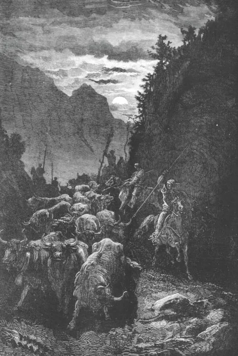 Framed Print : Bulls for the Fight;An Autumn Tour in Andalusia, 1875. Creator: Gustave Doré Framed Print : Bulls for the Fight;An Autumn Tour in Andalusia, 1875. Creator: Gustave Doré