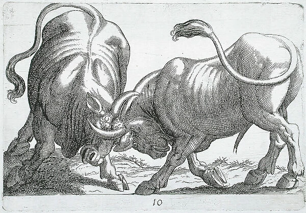 Two Bulls Fighting, 1610. Creator: Hendrick Hondius I