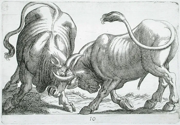 Framed Print : Two Bulls Fighting, 1610. Creator: Hendrick Hondius I Framed Print : Two Bulls Fighting, 1610. Creator: Hendrick Hondius I