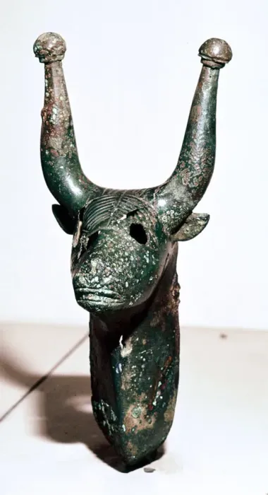Framed Print : Bulls head with knobbed horns, Rynkeby Bog, Denmark, c4th century BC Framed Print : Bulls head with knobbed horns, Rynkeby Bog, Denmark, c4th century BC