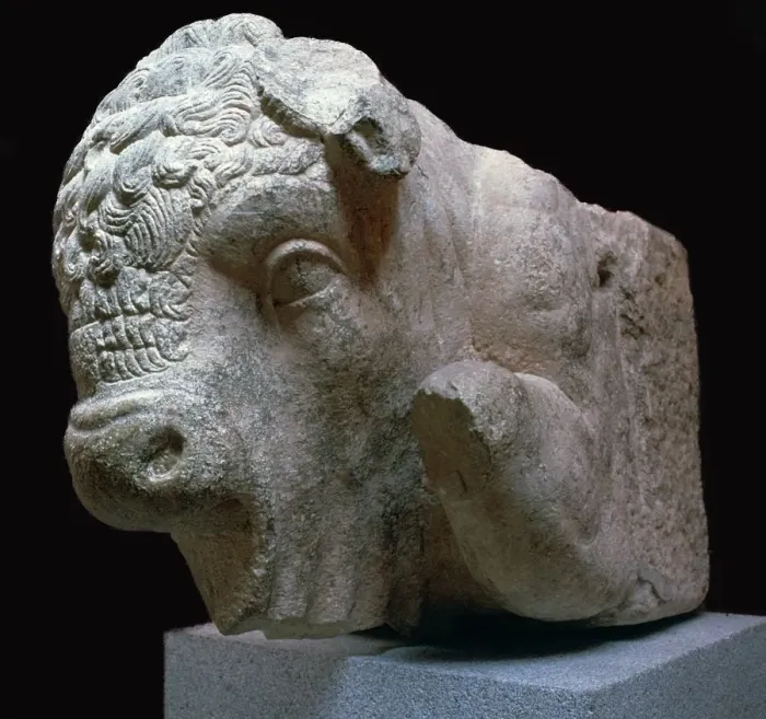Framed Print : Bulls head Roman sculpture from the Municipal Forum in Merida, 1st century BC Framed Print : Bulls head Roman sculpture from the Municipal Forum in Merida, 1st century BC