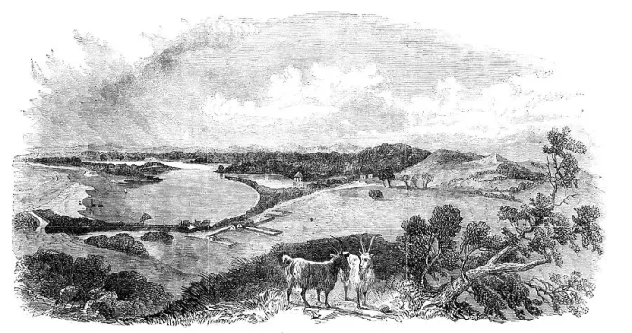 Framed Print : Bunbury, in Western Australia, 1857. Creator: Unknown Framed Print : Bunbury, in Western Australia, 1857. Creator: Unknown