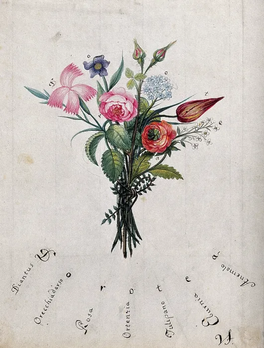 Framed Print : A bunch of flowers, the initial letters of which are shown to spell Dorotea, c1890s.. Creator: Unknown Framed Print : A bunch of flowers, the initial letters of which are shown to spell Dorotea, c1890s.. Creator: Unknown