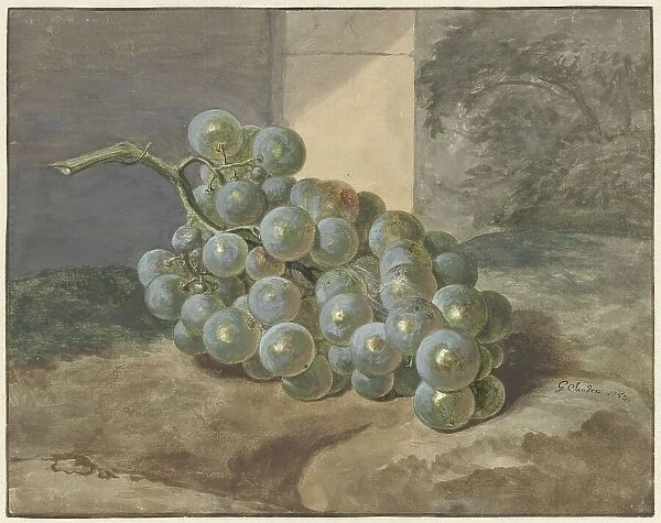 Bunch of grapes, 1754. Creator: Gerard Sanders