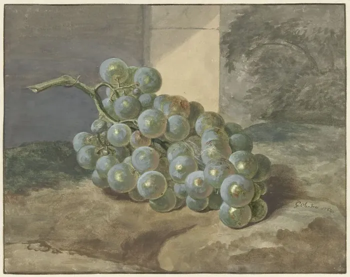 Framed Print : Bunch of grapes, 1754. Creator: Gerard Sanders Framed Print : Bunch of grapes, 1754. Creator: Gerard Sanders