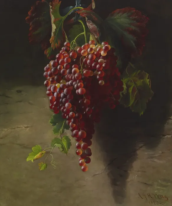 Framed Print : Bunch of Grapes, 1873. Creator: Andrew John Henry Way Framed Print : Bunch of Grapes, 1873. Creator: Andrew John Henry Way