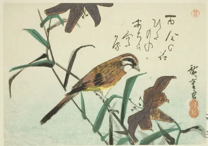 Framed Print : Bunting and lilies, 1830s-1840s. Creator: Ando Hiroshige Framed Print : Bunting and lilies, 1830s-1840s. Creator: Ando Hiroshige