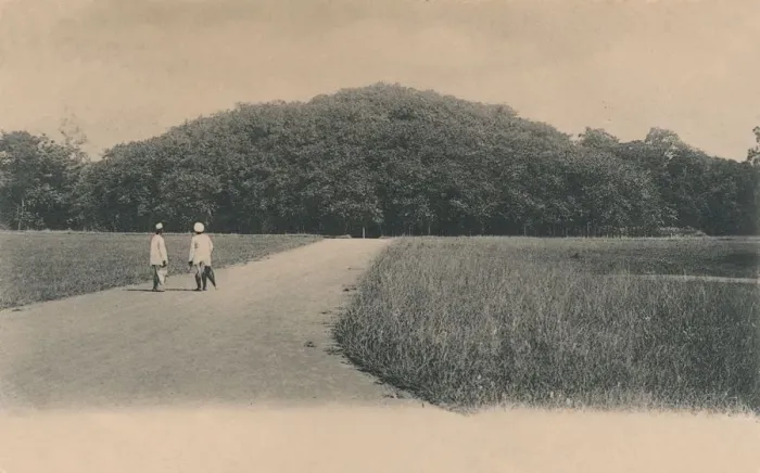 Framed Print : The Bunyan Tree, Botanical Gardens. Calcutta, 1906. Creator: Johnston & Hoffmann Framed Print : The Bunyan Tree, Botanical Gardens. Calcutta, 1906. Creator: Johnston & Hoffmann